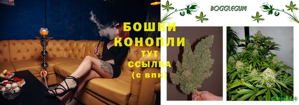 дживик Бородино