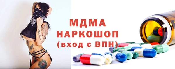 дживик Бородино