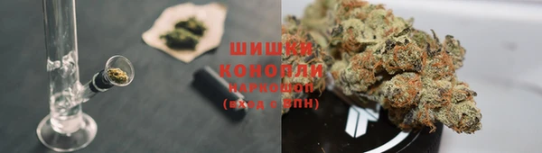 дживик Бородино