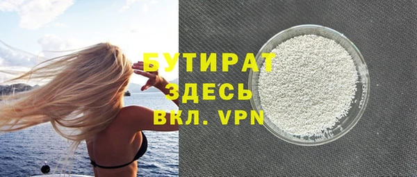 дживик Бородино