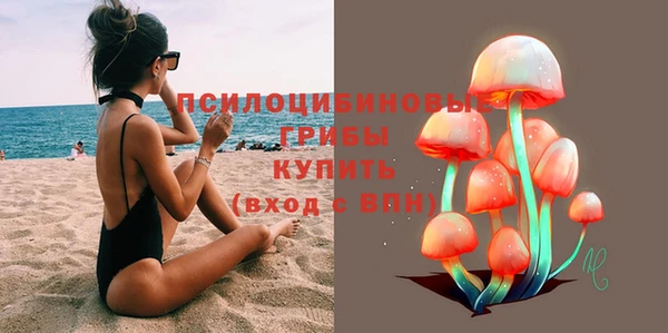 дживик Бородино